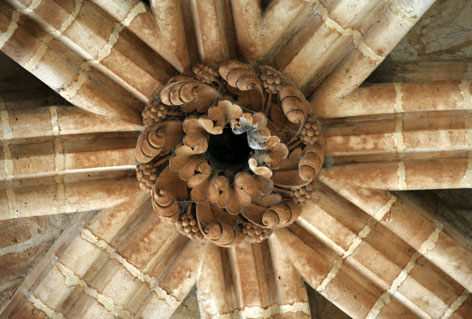 Techo de una catedral francesa. 