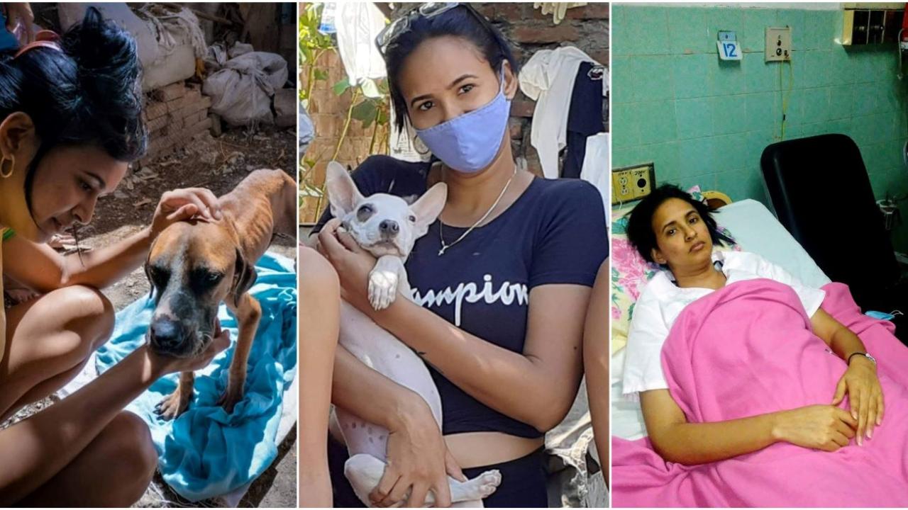 Cinthia Matos Benítez, activista por el bienestar animal, estudiante de Medicina.