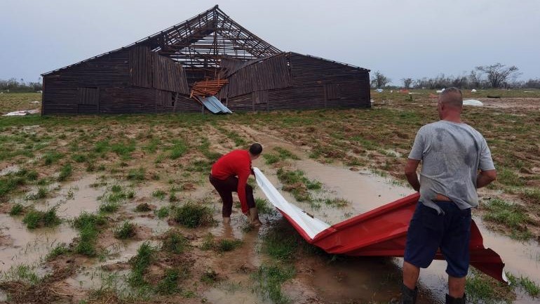 Casa de curar tabaco destruida tras el paso del huracán Ian por Pinar del Río.