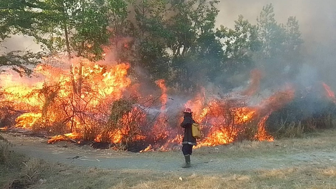 Un bombero intenta apagar el incendio en Santa Clara.