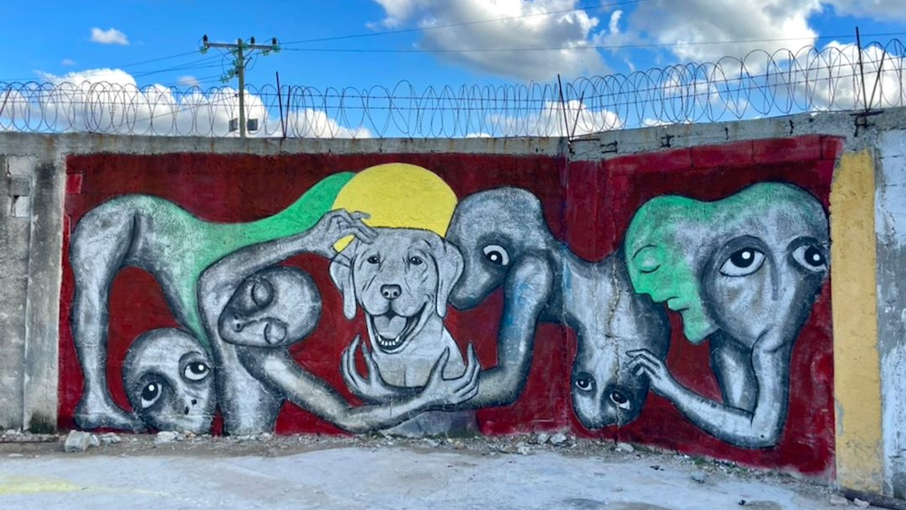 El mural pintado por Yulier P. y Dayán Melián para 'Tema perreo'.