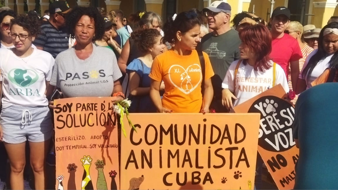 Animalistas cubanos en la peregrinación por el Día del Perro.